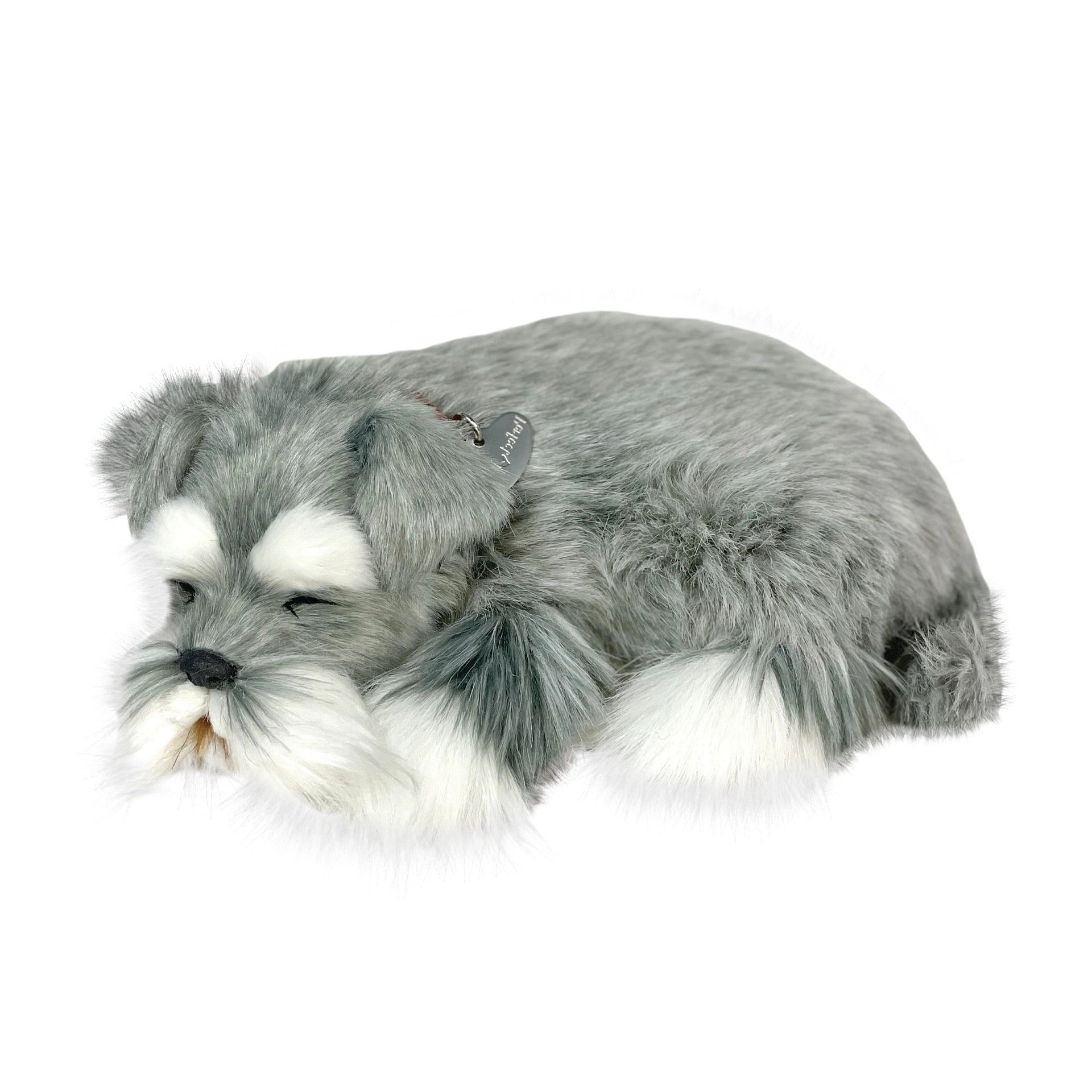 Perfect Petzzz Schnauzer