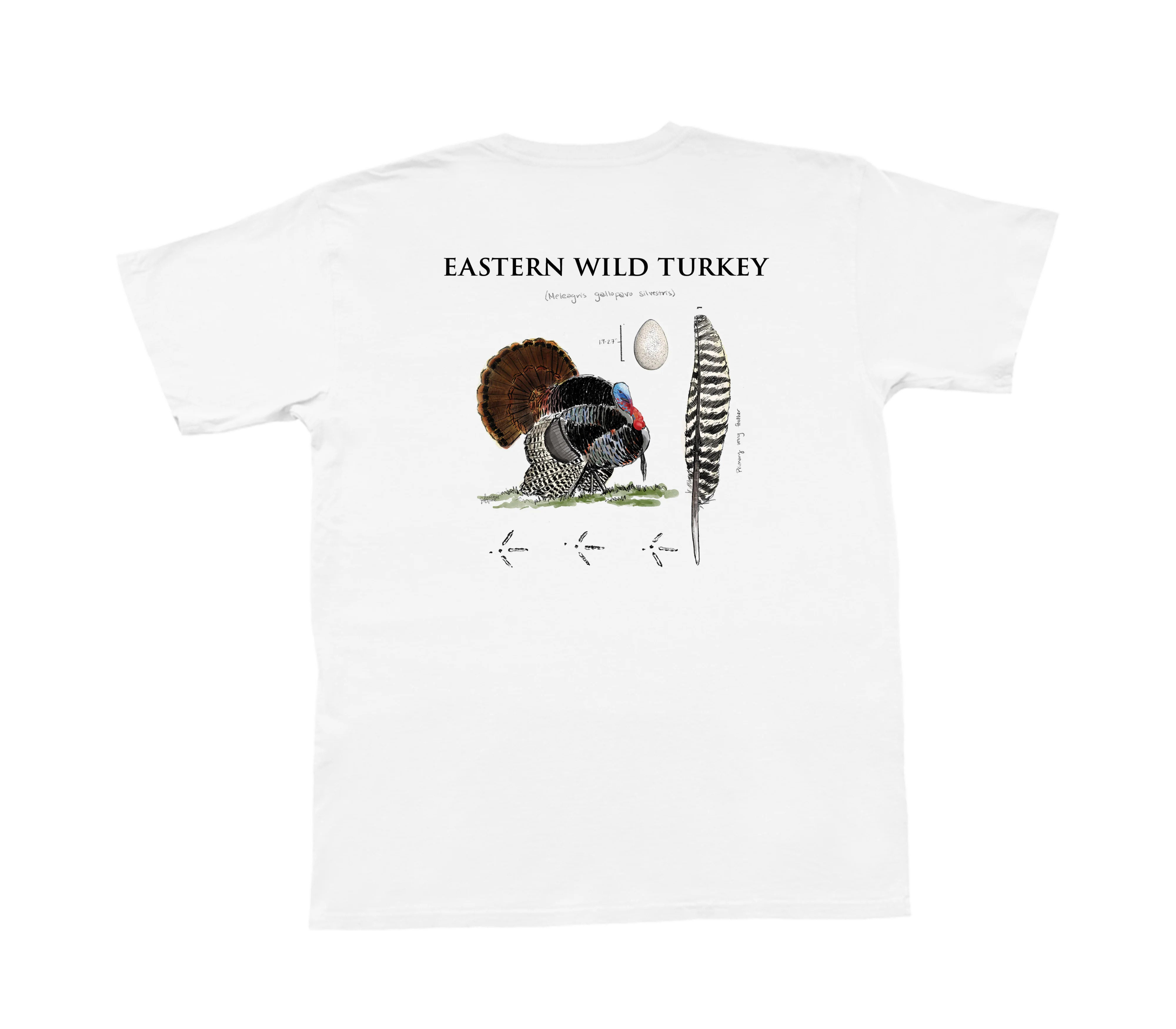 Eastern Wild Turkey Short Sleeve (White)